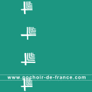 delaunay-8