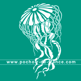 meduse-1-illustration