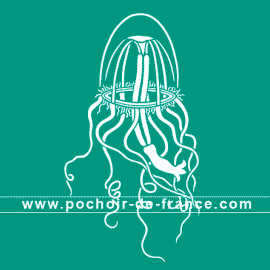 meduse-3-illustration